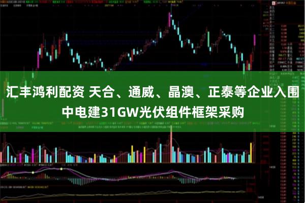汇丰鸿利配资 天合、通威、晶澳、正泰等企业入围中电建31GW光伏组件框架采购
