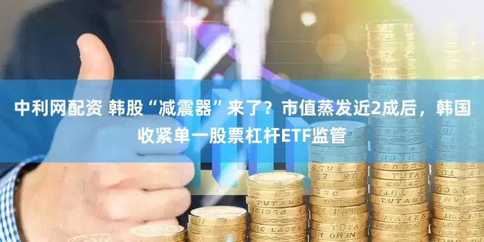 中利网配资 韩股“减震器”来了？市值蒸发近2成后，韩国收紧单一股票杠杆ETF监管